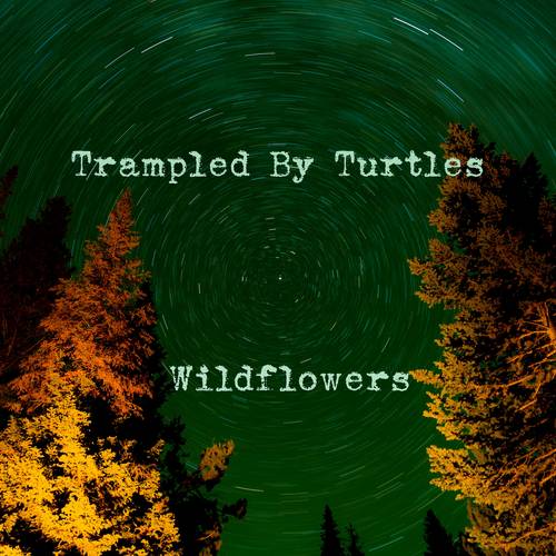 Trampled by Turtles: Wildflowers (7-Inch Single)