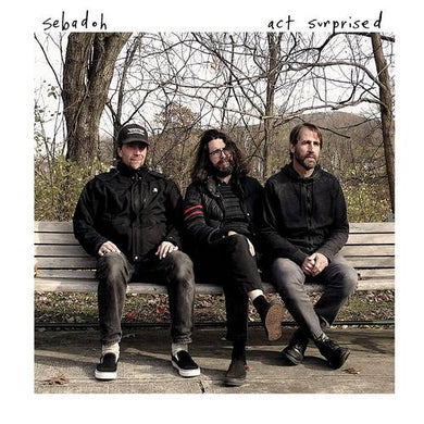 Sebadoh: Act Surprised (Vinyl LP)