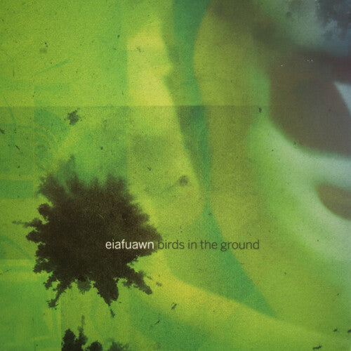 Eiafuawn: Birds In The Ground (Vinyl LP)