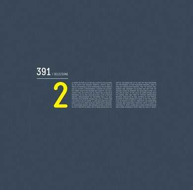 391 Selezione 2 / Various: 391 Selezione 2 (Vinyl LP)
