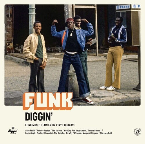 Funk Diggin / Various: Funk Diggin / Various (Vinyl LP)