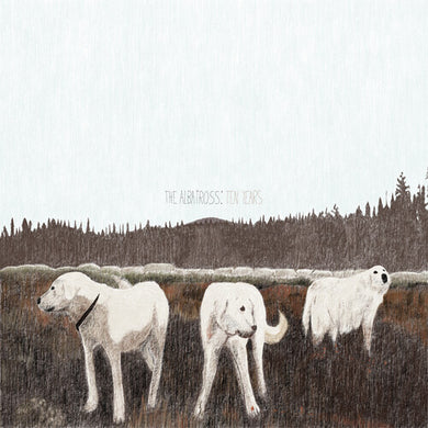 Foxing: The Albatross: Ten Years (Vinyl LP)