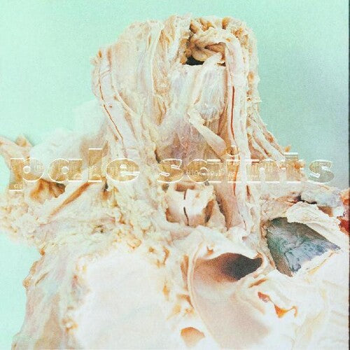Pale Saints: In Ribbons (Vinyl LP)