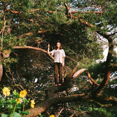 Melt The Honeyby Packs (Vinyl Record)