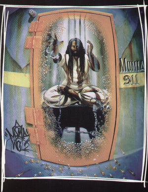 Unbound / Chuck D / Zach De La Rocha: Mumia 911 / Various (12-Inch Single)