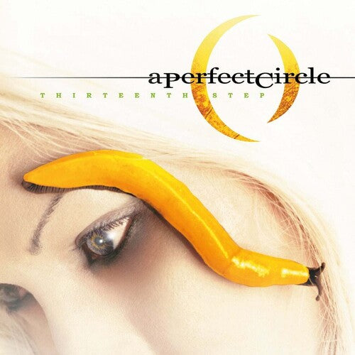 Perfect Circle: Thirteenth Step (Vinyl LP)