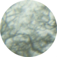 Junes: Cafe Nostalgia (12-Inch Single)