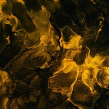 Maze & Lindholm: A River Flowing Home To The Sea (Vinyl LP)