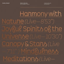 Halsall, Matthew: Salute To The Sun: Live At Halle St Peter's (Vinyl LP)