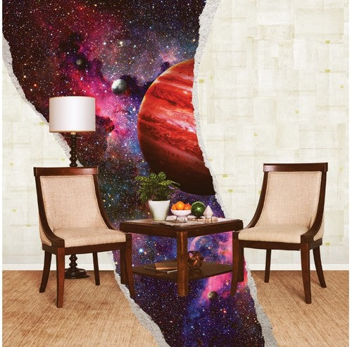 Rainbow Kitten Surprise: How To: Friend Love Freefall (Vinyl LP)