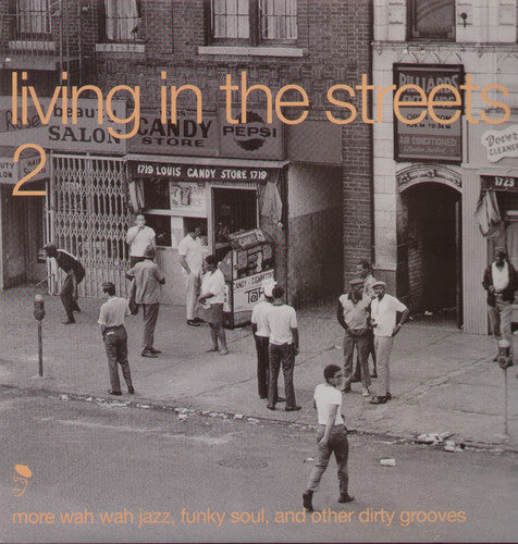 Living in the Streets 2 / Various: Living In The Streets, Vol. 2 (Vinyl LP)