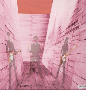 Blonde Redhead: In An Expression of the Inexpressible (Vinyl LP)