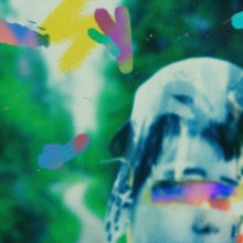 Team Me: Something In The Making (Vinyl LP)