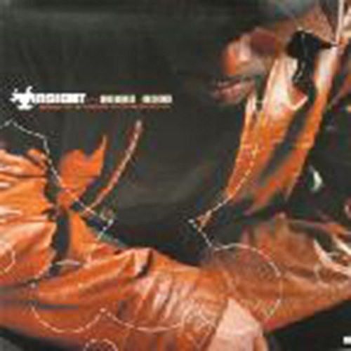 Insight: Seventeen MC's (12-Inch Single)