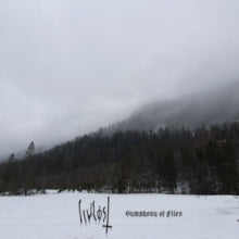 Symphony Of Fliesby Livlost (Vinyl Record)