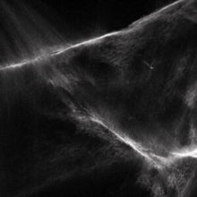 Final Lightby Final Light (Vinyl Record)