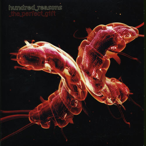 Hundred Reasons: Perfect Gift (7-Inch Single)