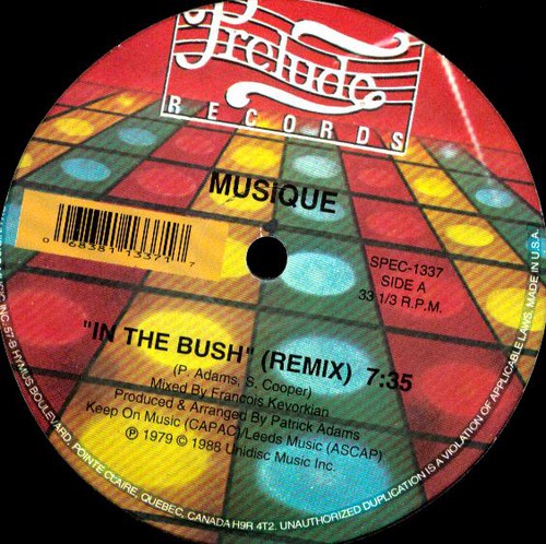 Musique: In the Bush (Vinyl LP)