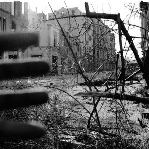 Rayon: Libanon (12-Inch Single)