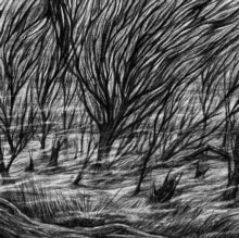 The Eternal Marshesby Bismuth (Vinyl Record)