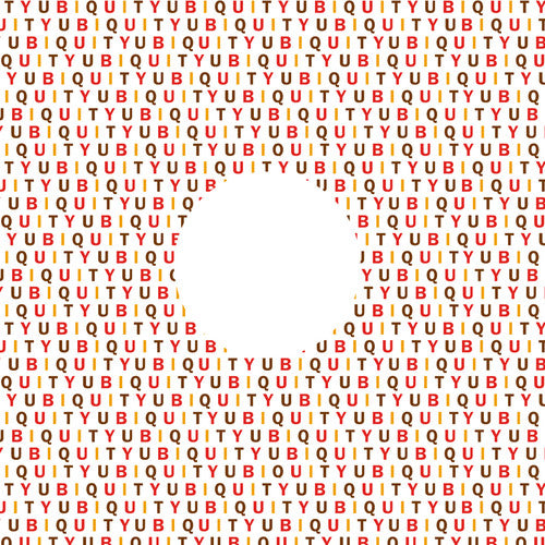 Watts, Ohmega: No Delay / Find (12-Inch Single)